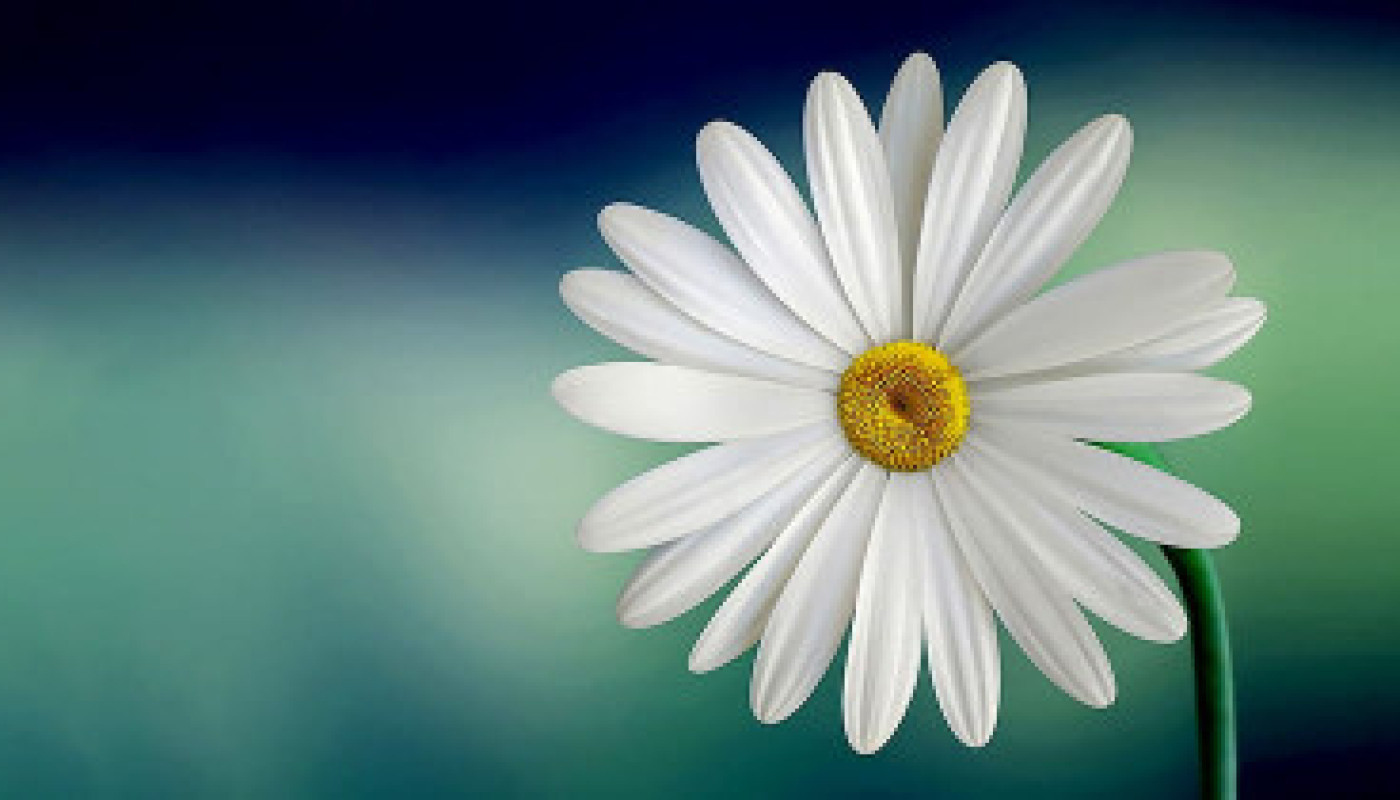 Test 1