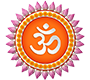 नीराजन (आरती) गर्ने